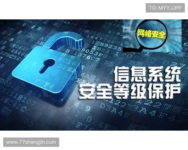 全面解析安博app官方网站安全监测的重要性与实施策略